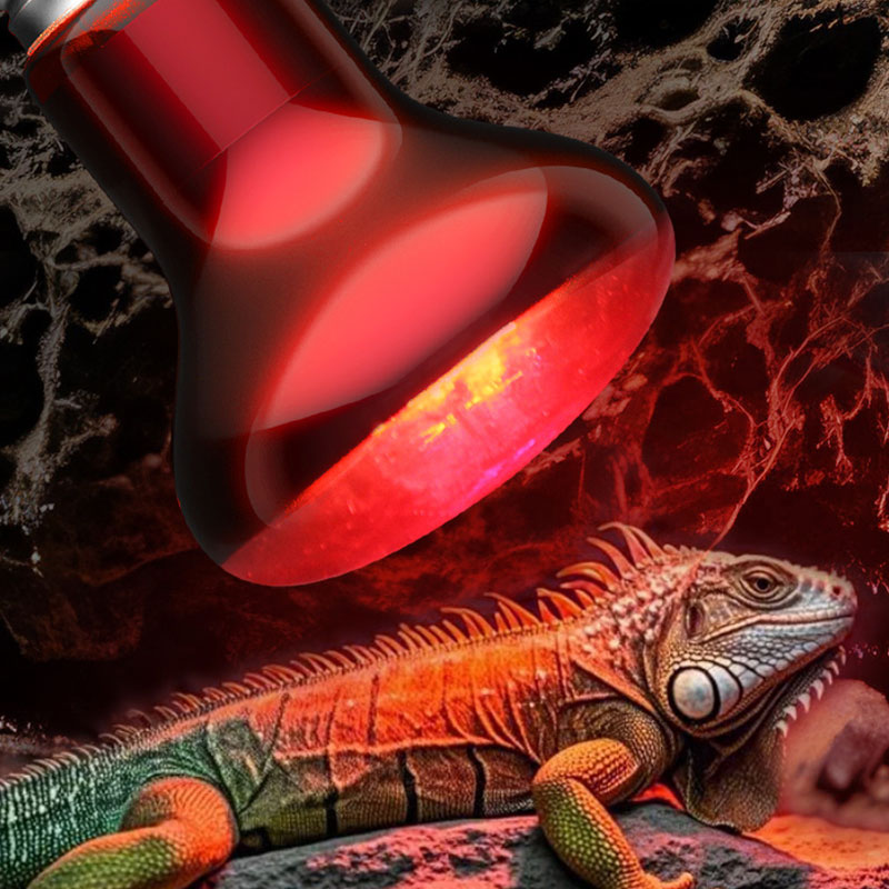 Gecko Lighting & Decor - Reptile Heat Lamp 100V/220V Infrared Bulb