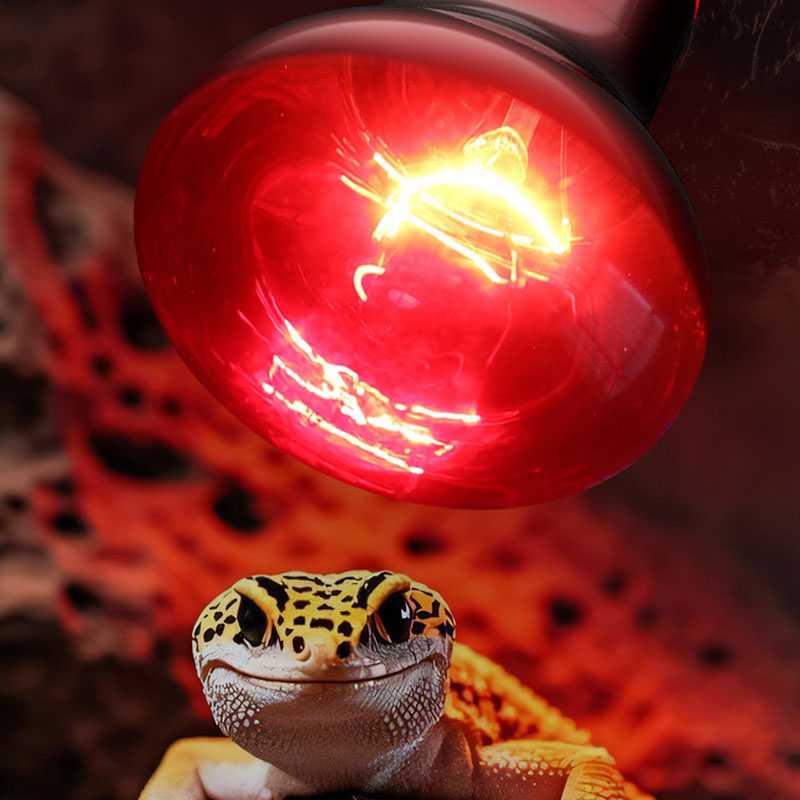Reptile Heat Lamp 100V/220V In - Gecko Lighting & Decor recension och pris