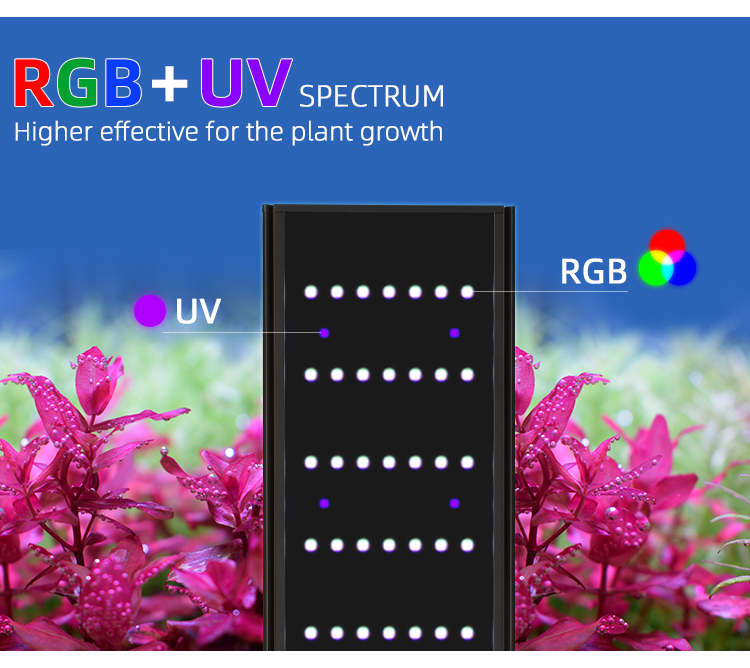 WEEK AQUA L Series APP Control - Lighting Gallery recension och pris