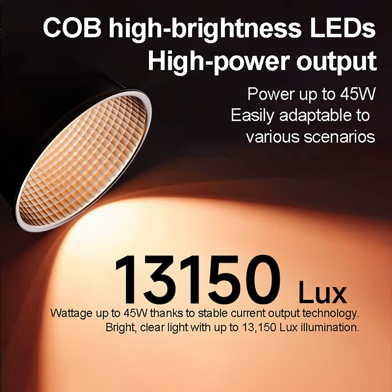 60W RGB Video Light Portable L - Lighting Gallery recension och pris
