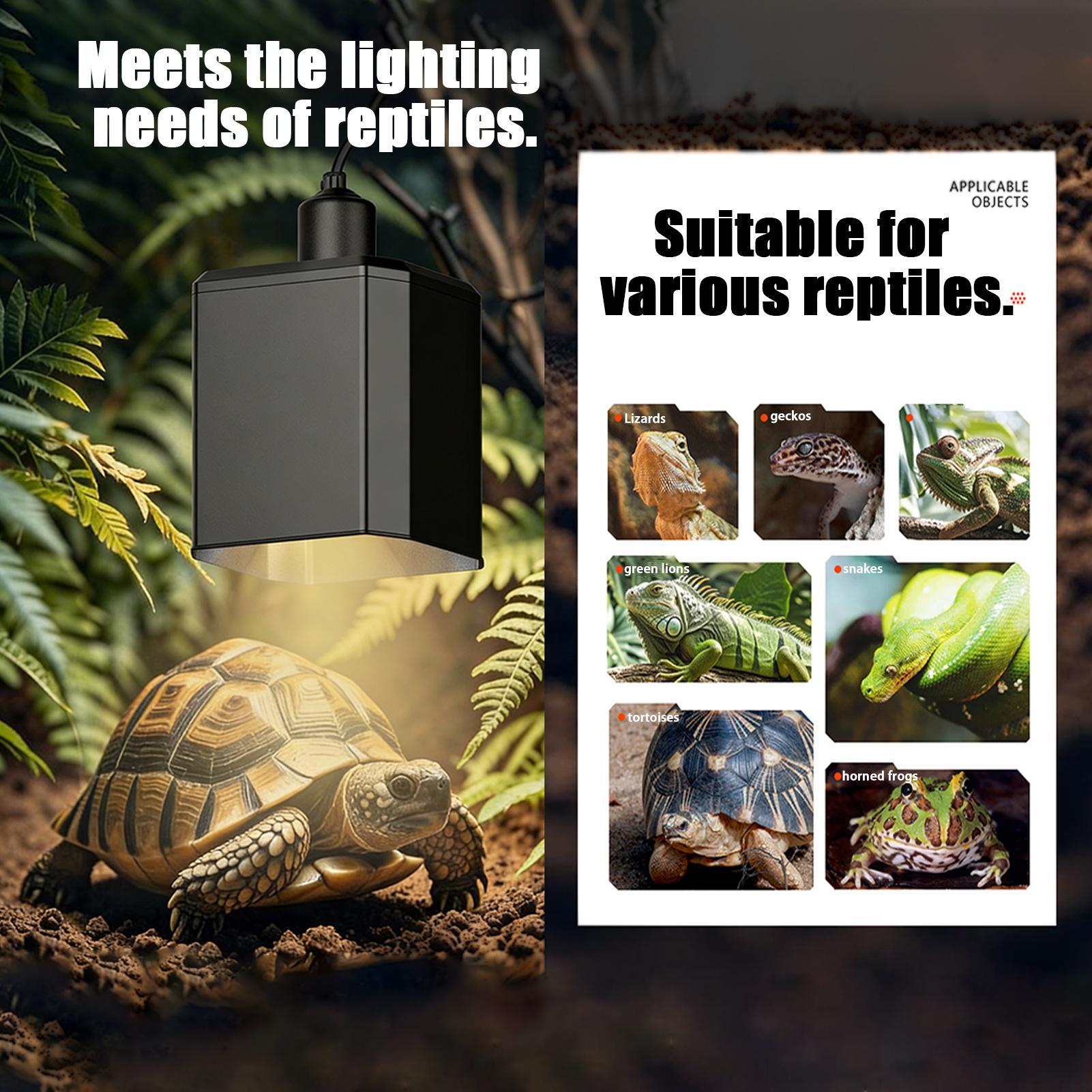 Heat Lamp Shade For Reptiles T - Gecko Lighting & Decor recension och pris